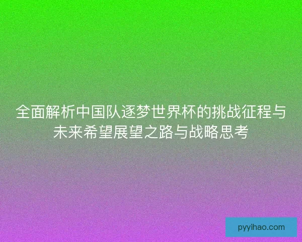 全面解析中国队逐梦世界杯的挑战征程与未来希望展望之路与战略思考