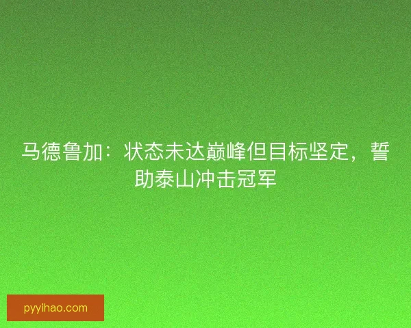 马德鲁加：状态未达巅峰但目标坚定，誓助泰山冲击冠军