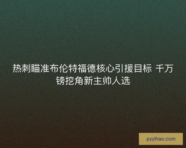热刺瞄准布伦特福德核心引援目标 千万镑挖角新主帅人选