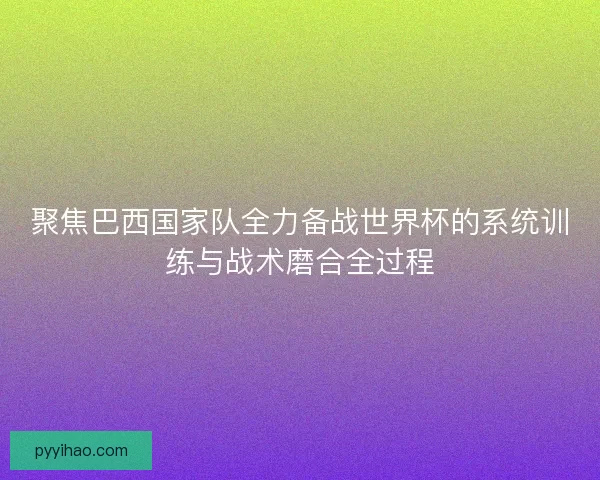 聚焦巴西国家队全力备战世界杯的系统训练与战术磨合全过程
