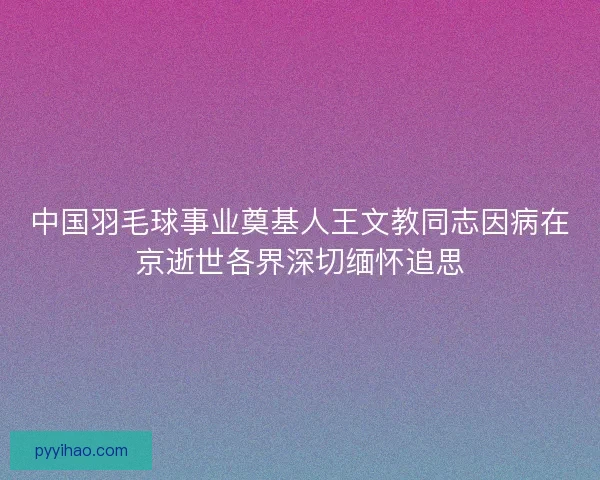 中国羽毛球事业奠基人王文教同志因病在京逝世各界深切缅怀追思