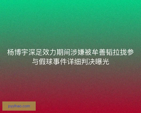 杨博宇深足效力期间涉嫌被牟善韬拉拢参与假球事件详细判决曝光