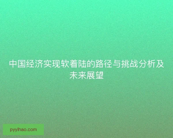 中国经济实现软着陆的路径与挑战分析及未来展望