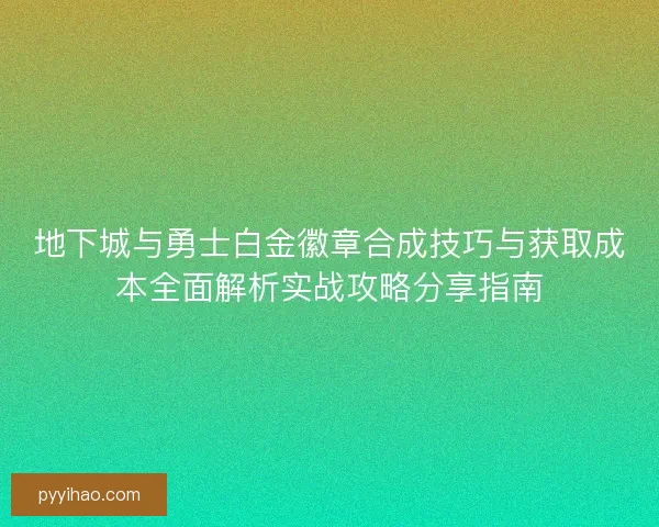 地下城与勇士白金徽章合成技巧与获取成本全面解析实战攻略分享指南